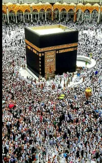 فروش فیش حج عمره