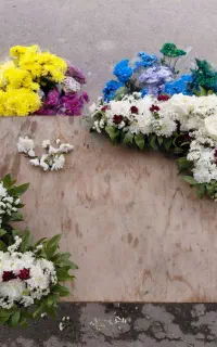 فروش انواع گل هایی داوودی و رز رنگی
