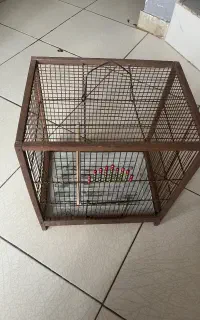 قفس