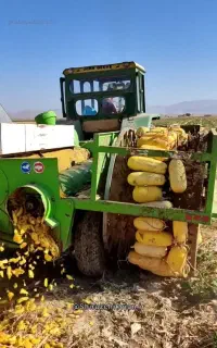 کدوکوب تخمه گیرکدو