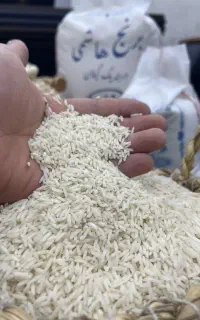 برنج هاشمی اصل گیلان به شرط
