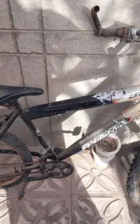 دوچرخه ۲۴