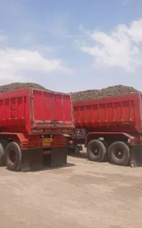 عمده فروش پشت ماهی کود گاوی ارسال به سیرجان