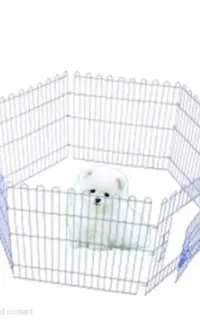 پارک سگ (داگ پارک)