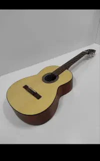 گیتار پارسی در حد