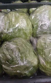 کار بسته بندی