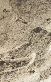 فروش شن و ماسه