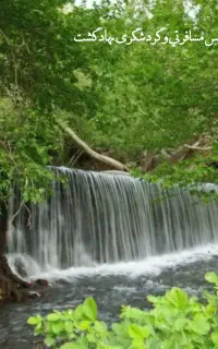 تور حال خوب