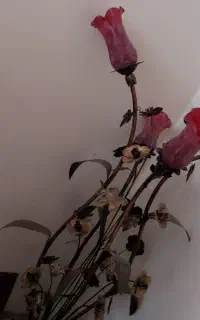 لوازم برقی خانگی