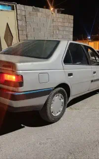 پژو405