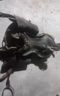 زین اسب