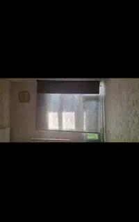 پردا زبرا نو