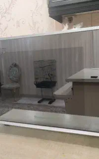 ماکروفر پاناسونیک اینورتر