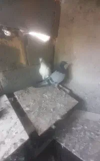 کله سرخ میل زن هستش سبز ساعتی کلی هم ساعتی