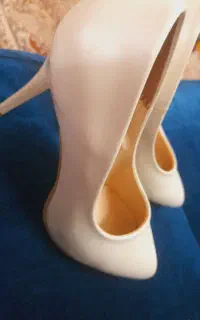 کفش مجلسی