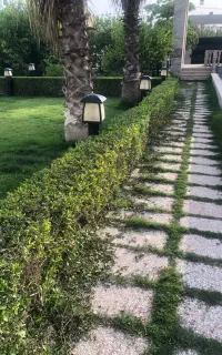 دفتر مهندسی فضای سبز و باغات