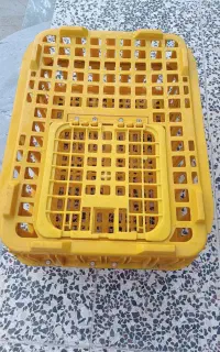 قفس مرغ