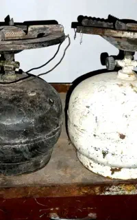 دوعدد پیکنیک