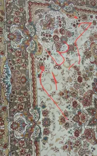 فرش رنگ کرم