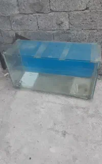 آکواریوم