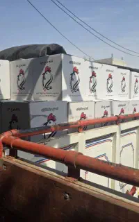 کارگر اساس کشی