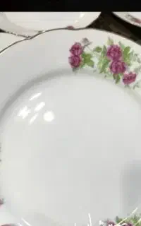 دو دست بشقاب برنج خوری