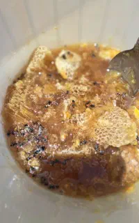عسل کوهی وحشی اصل