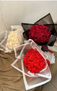 آف به مدت 24 ساعت. تحویل فورری