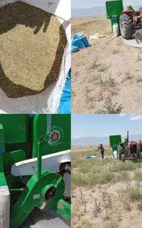 خدمات زیره کوبی
