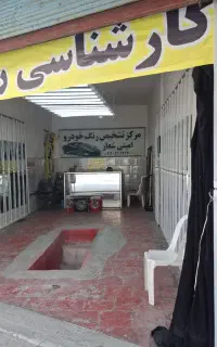 تشخیص رنگ و فنی امینی شعار(کارشناسی فنی رایگان)