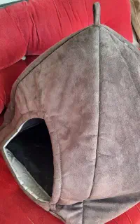 جای خواب گربه