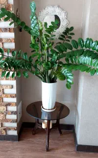 گل وگیاه طبیعی