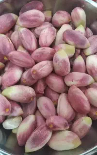 پسته