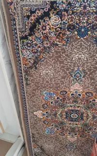 پشتی