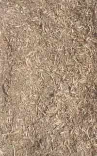 خریدو فروش کاه نخود
