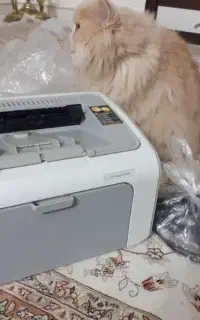 پرینتر ۱۱۰۲