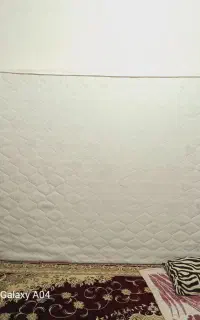 شادگان
