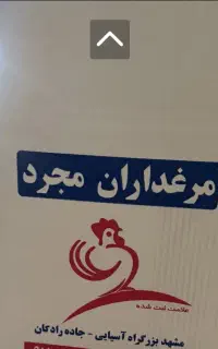 پخش تخم مرغ روز
