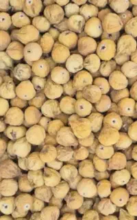 انجیر  تازه  امسالی استهبان