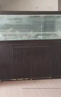 آکواریوم،یک مترو۸۰در۶۰