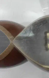 فروش تار برزی