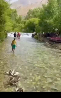 آور گردشگری مازون