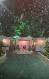 نیروی کار ساده