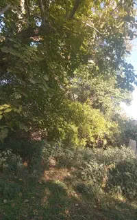 گردش و طبیعت گردی