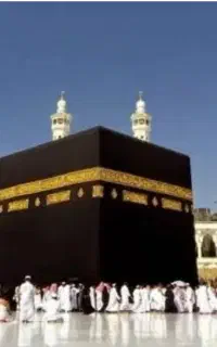 1عددفیش تمتع
