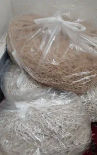 رشته