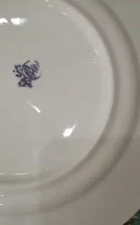 بشقاب گل قرمزی