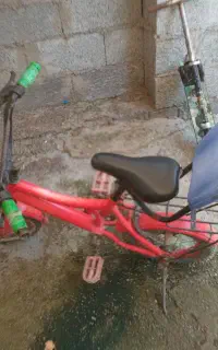 دوچرخه