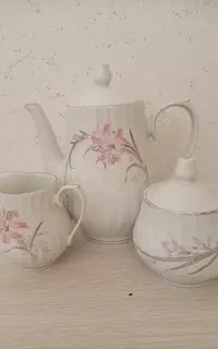 ظرف چینی