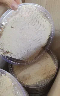 عسل ناب آذربایجان